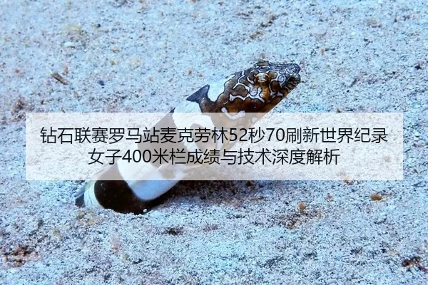 zuan-shi-lian-sai-luo-ma-zhan-mai-ke-lao-lin-miao-shua-xin-shi-jie-ji-lu-nv-zi-mi-lan-cheng-ji-yu-ji-shu-shen-du-jie-xi-2-364.jpg