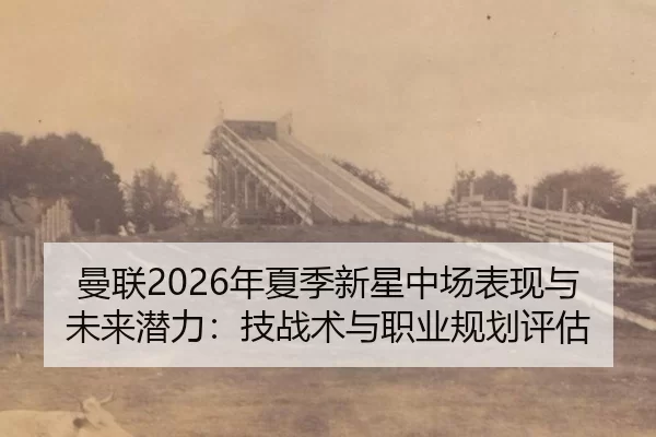 man-lian-nian-xia-ji-xin-xing-zhong-chang-biao-xian-yu-wei-lai-qian-li-ji-zhan-shu-yu-zhi-ye-gui-hua-ping-gu-2-464.jpg