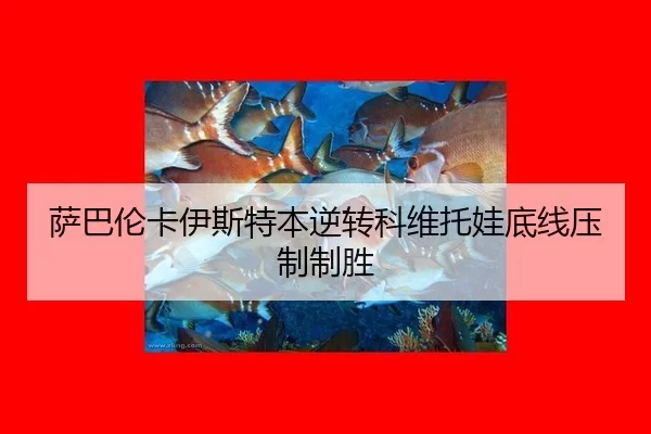 sa-ba-lun-ka-yi-si-te-ben-ni-zhuan-ke-wei-tuo-wa-di-xian-ya-zhi-zhi-sheng-2-789.jpg